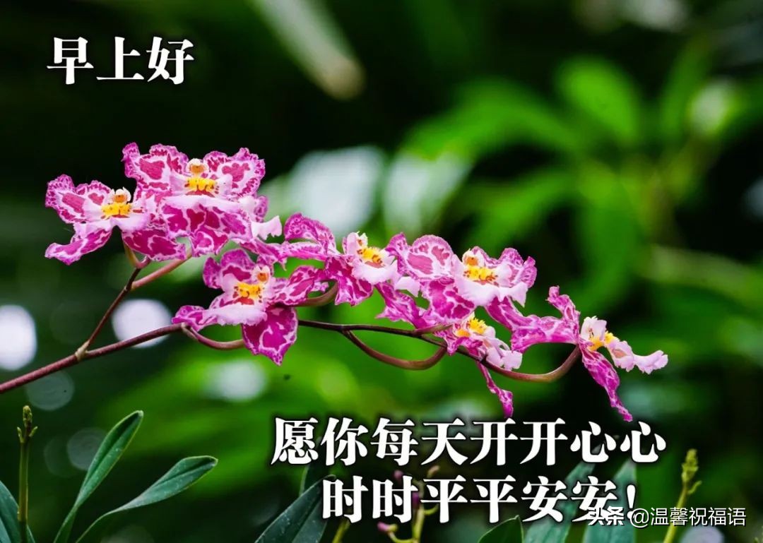 每日超有意思的早安问候图片,早安问候的话带图片