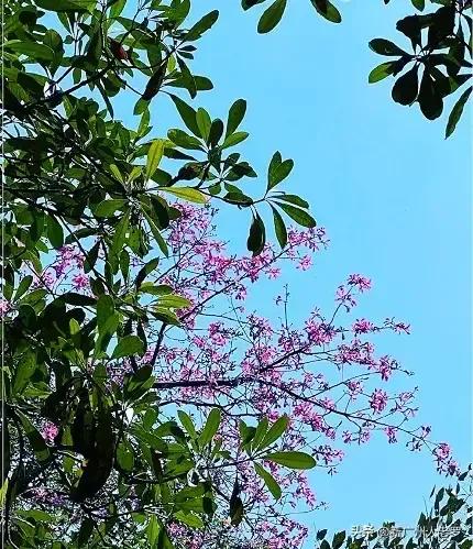 创业成功的关键是什么,创业初期成功的关键