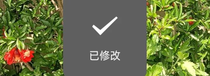 微信设置及朋友圈技巧,微信发布朋友圈不带图片怎么发布