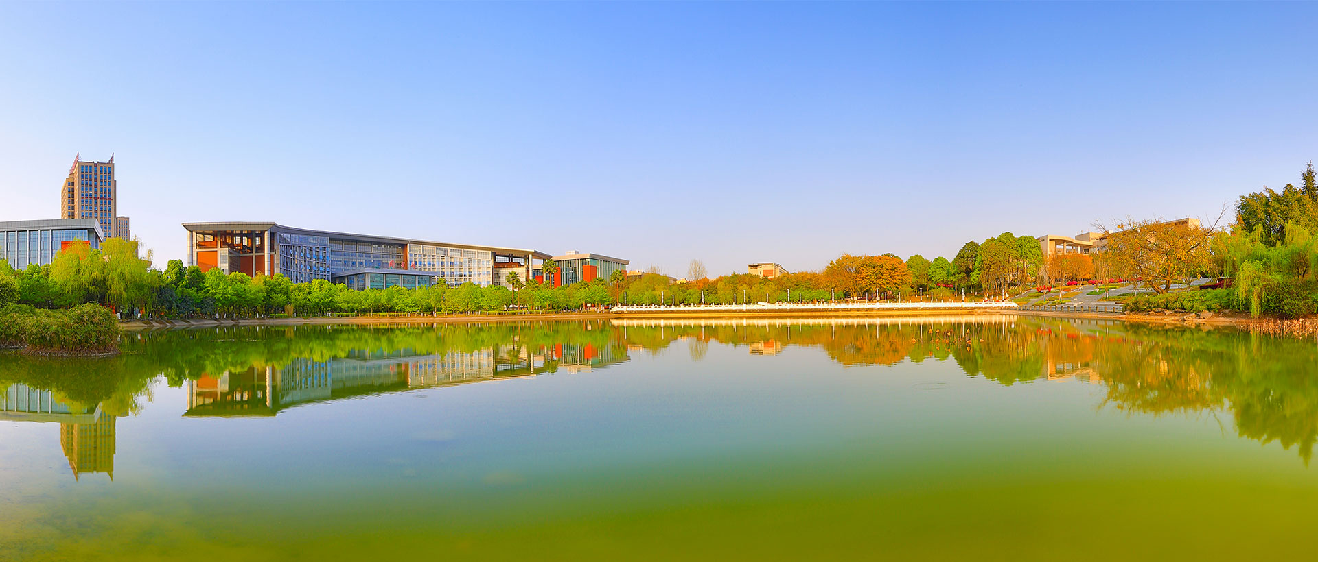 西南政法大学法学专业占比多大？2022录取分析，占总人数的56.6%