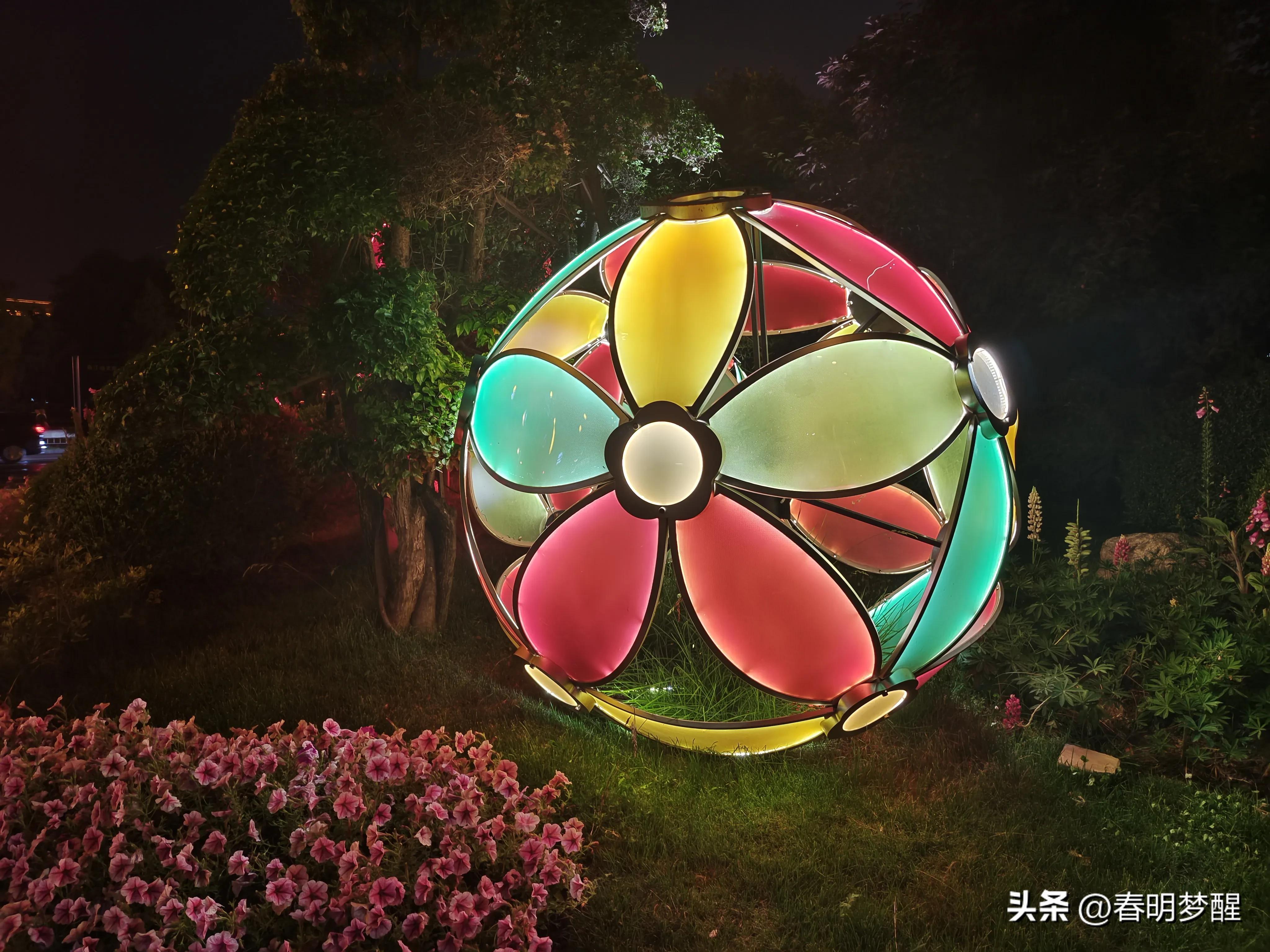 蔷薇花抒情散文,蔷薇花开抒情歌曲