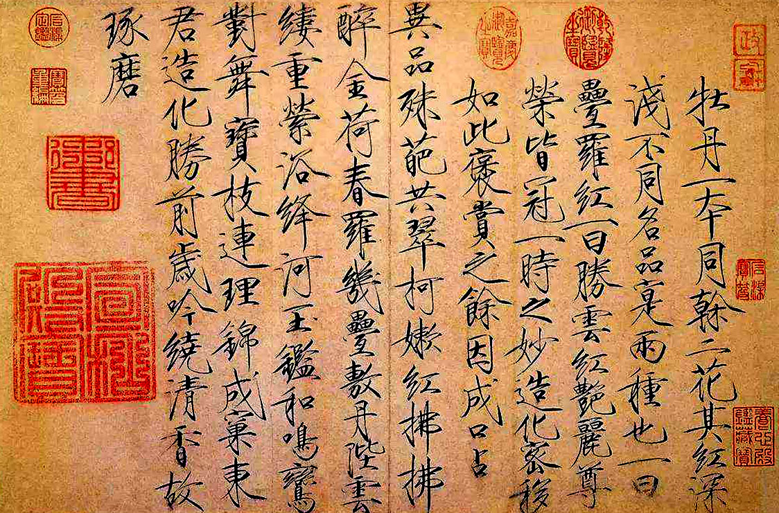 中国历代皇帝简介和历史事件,揭秘中国历朝历代皇帝的一生