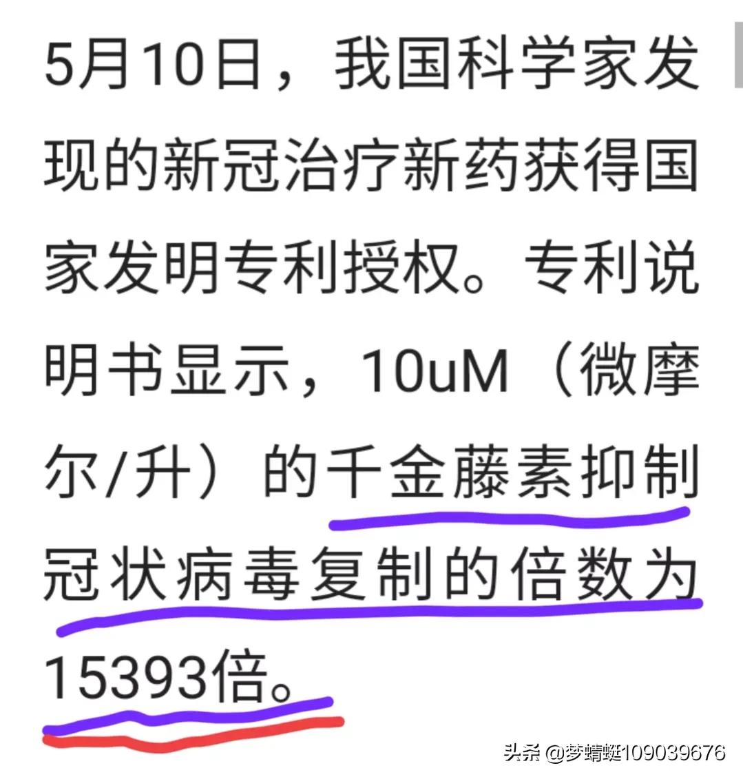 千金藤素：谁能主先锋？