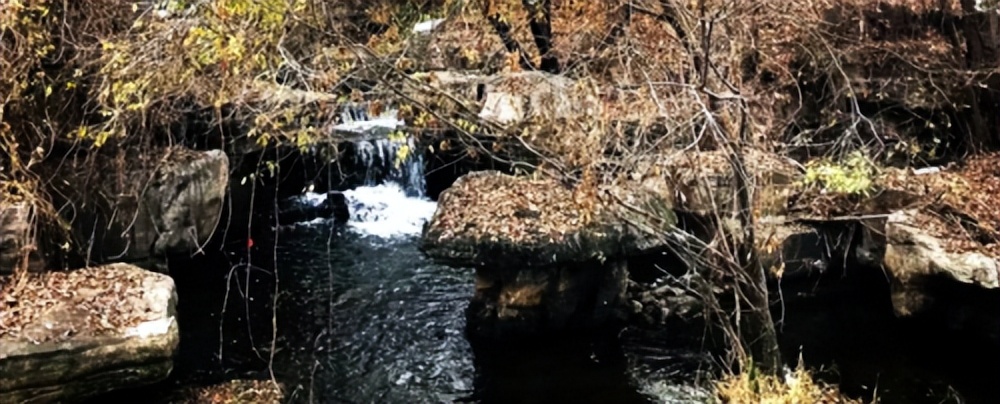 轩逸悦享款驾驶体验,轩逸悦享驾驶感受