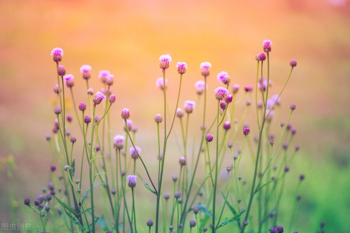 退休后没有朋友就幸福了,退休后没有一个朋友