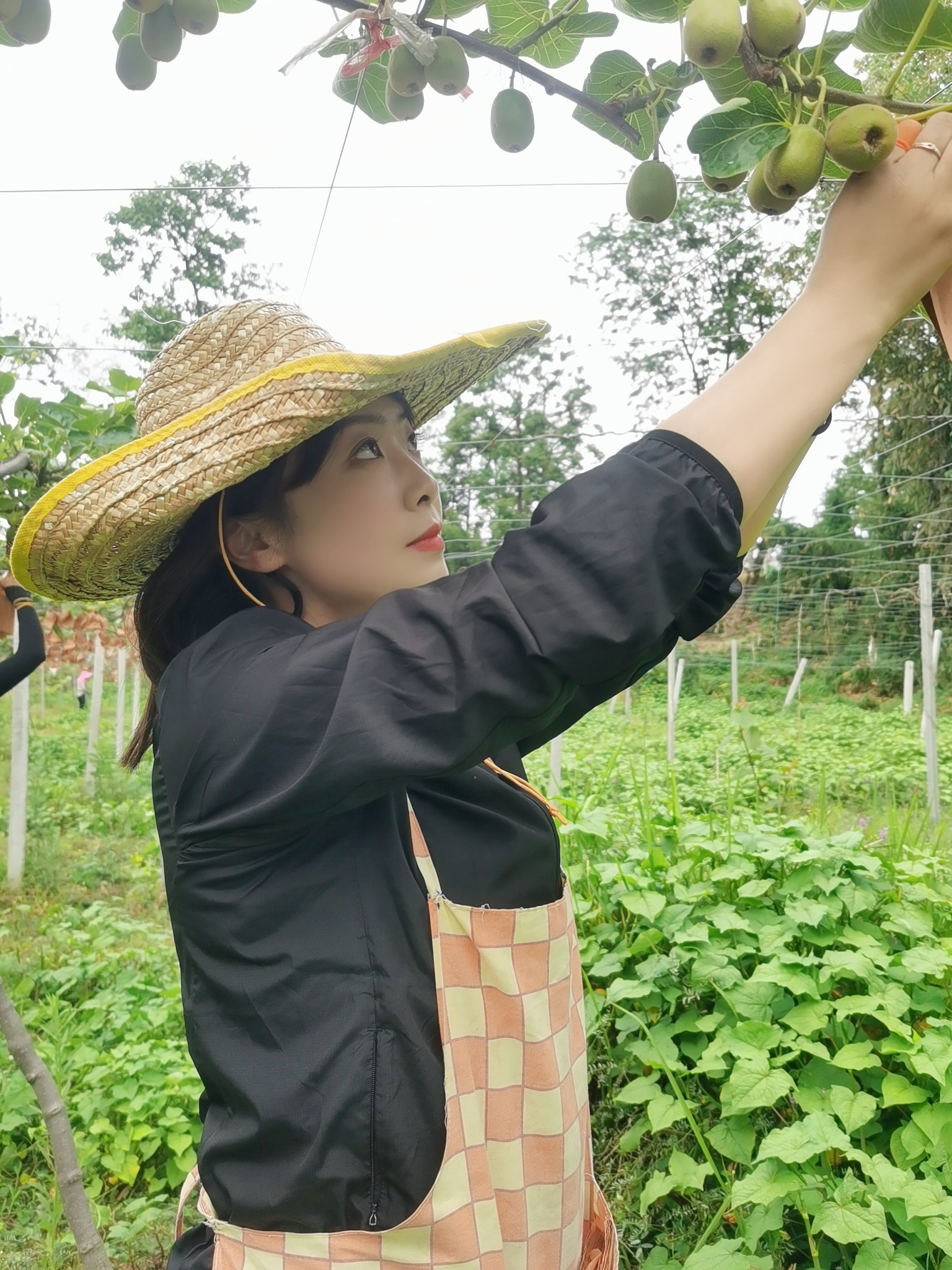 一颗红心向前走,一颗红心走天下