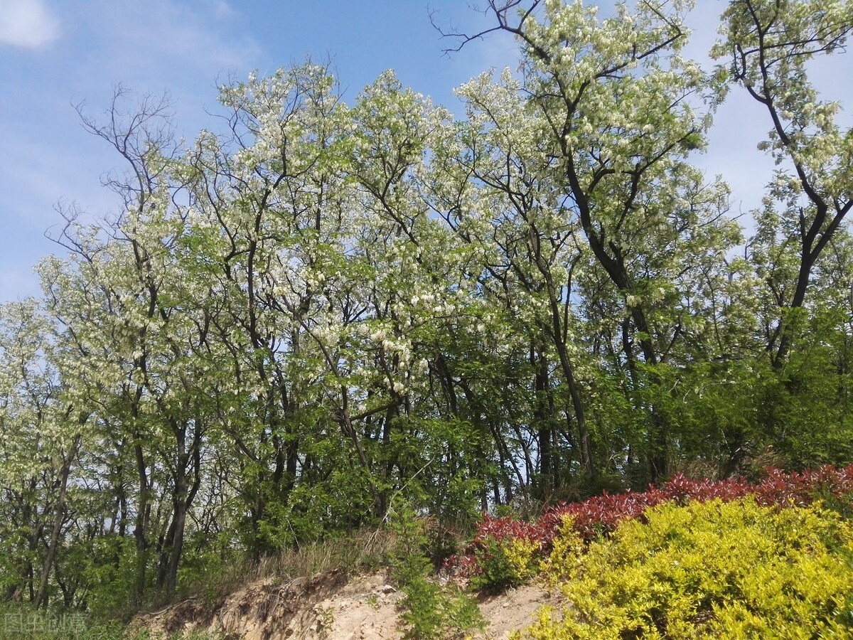 青岛疫情期间哪些景区免费,青岛疫情免费景区