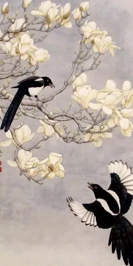 白色物语免费观看,白色物语