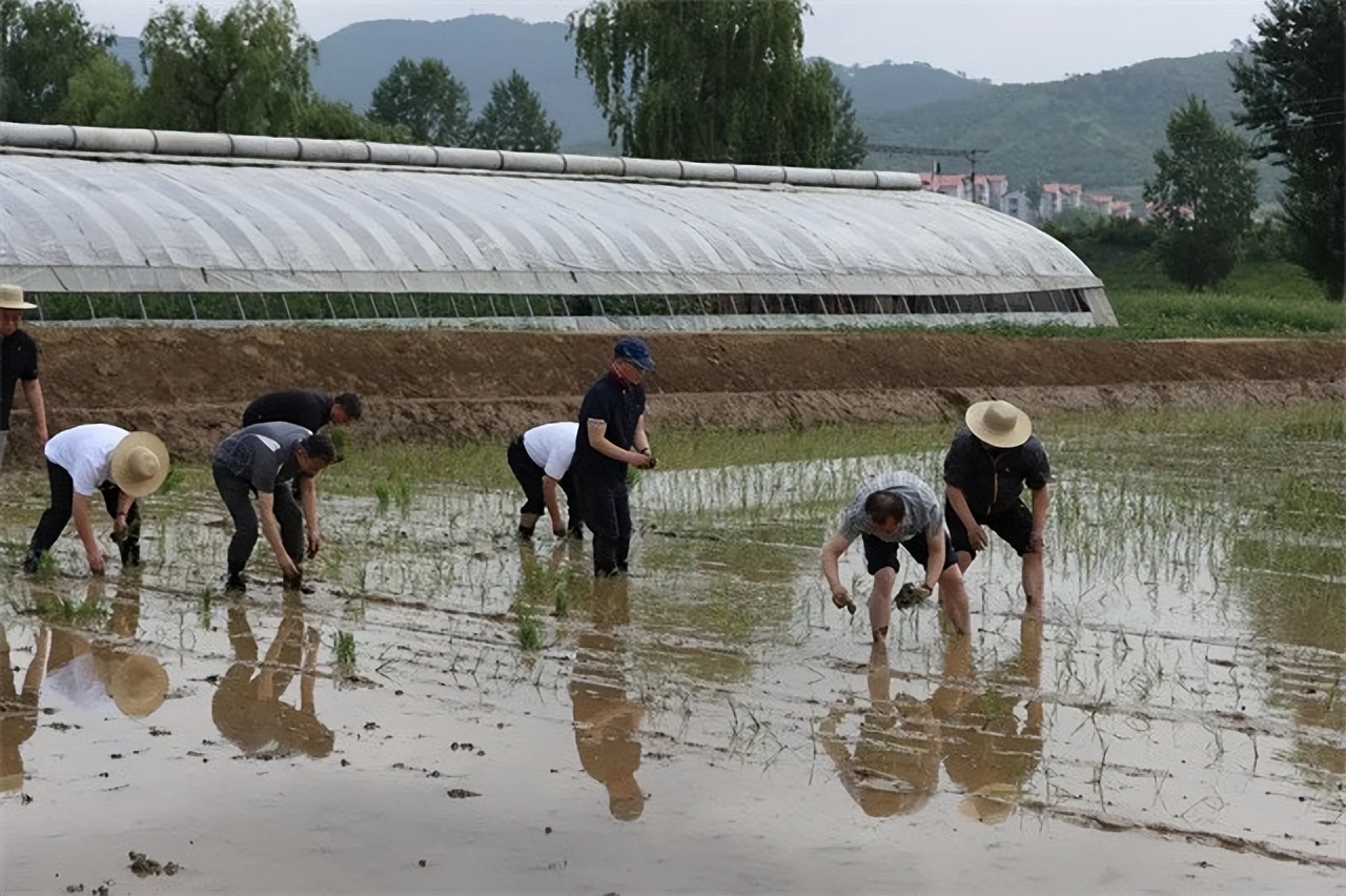 朝鲜看中国的视角,真正的朝鲜是什么样的