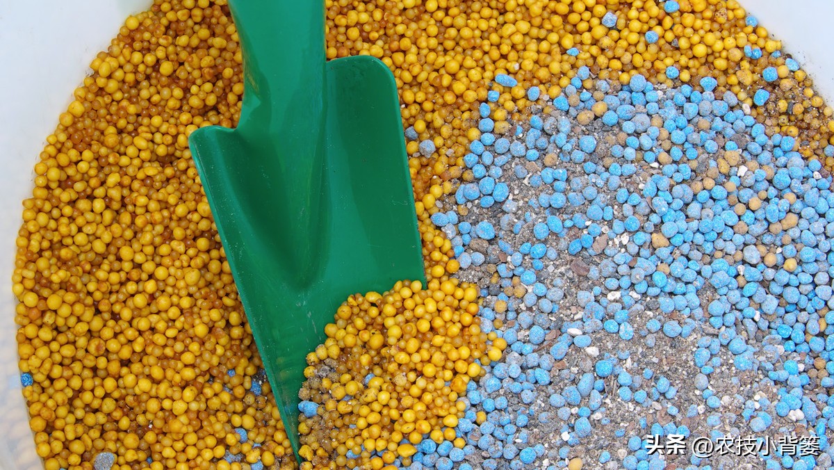 磷肥过量施用会怎样,磷元素缺乏有什么危害