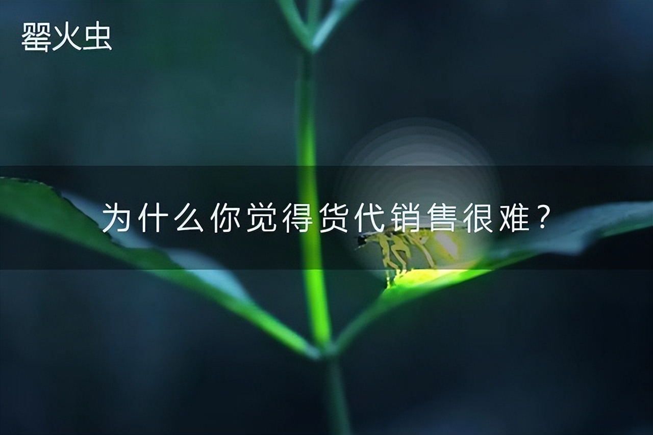 为什么你觉得货代销售难做？罂火虫分享几个思路，看完就豁然开朗