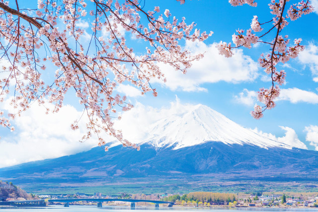 教你怎么样选出适合你的初创项目