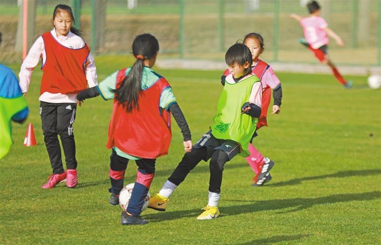 陕西省西咸新区校园足球,陕西足球校园组