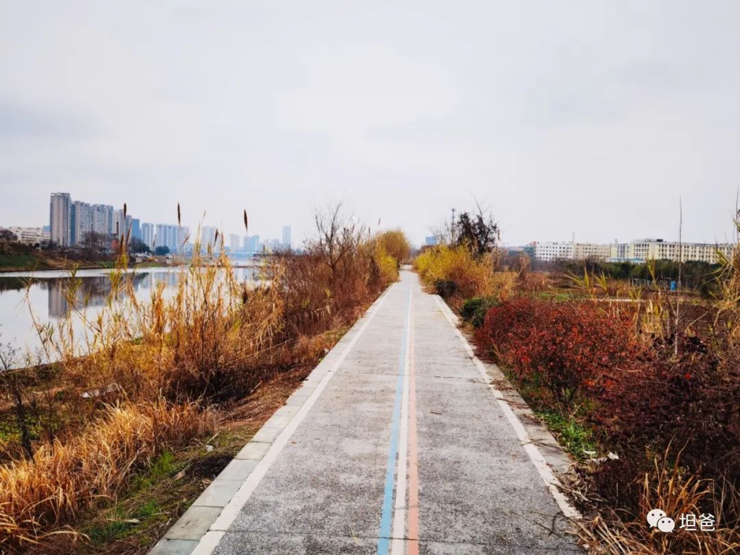 最好的我们电视剧免费看,最好的我们1-24集免费版