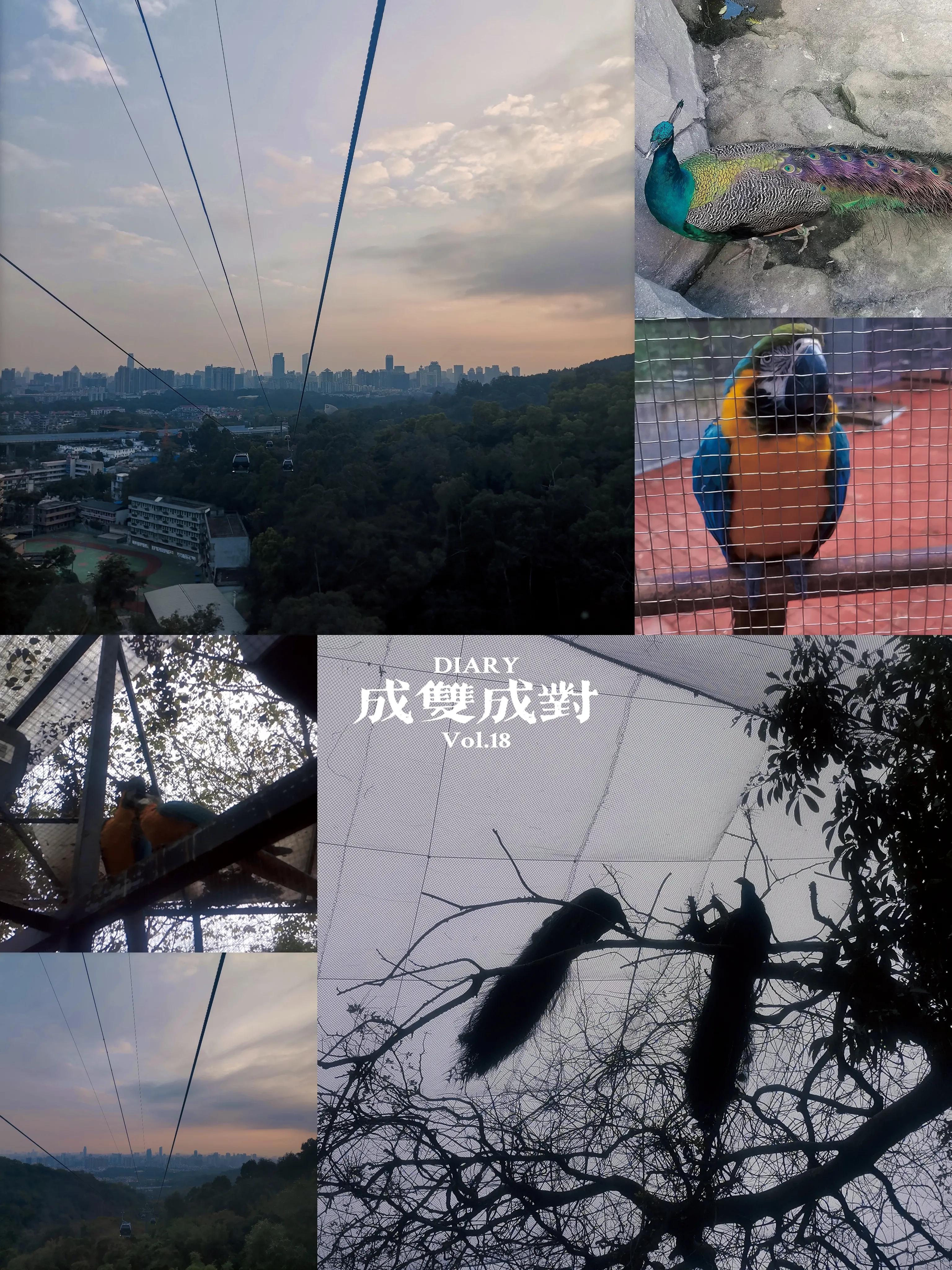 荔枝湾到白云山怎么去,白云山到荔枝湾