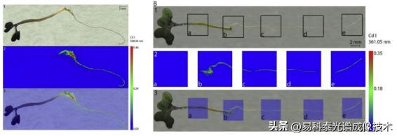 libs元素分析仪台式,firefly系统