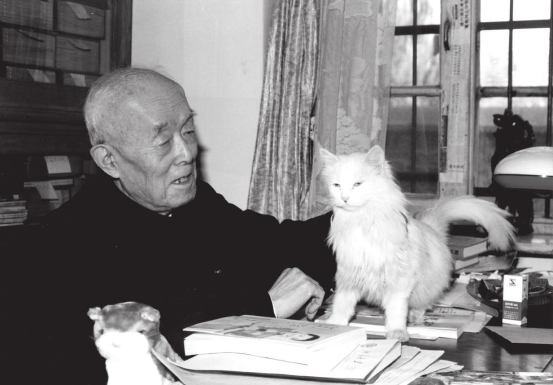 季羡林大师的人生感悟,季羡林人生感悟回忆录