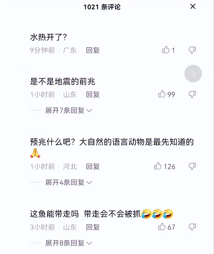 鱼跳出水面是地震前兆吗,鱼浮出水面是地震前兆吗