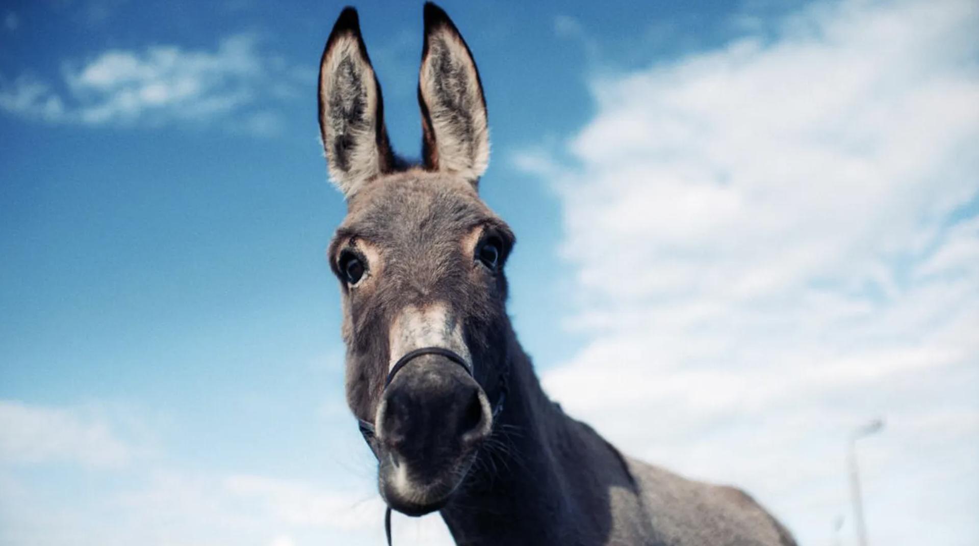 2020-2022年值得推荐的电影,2020-2021年值得推荐的电影