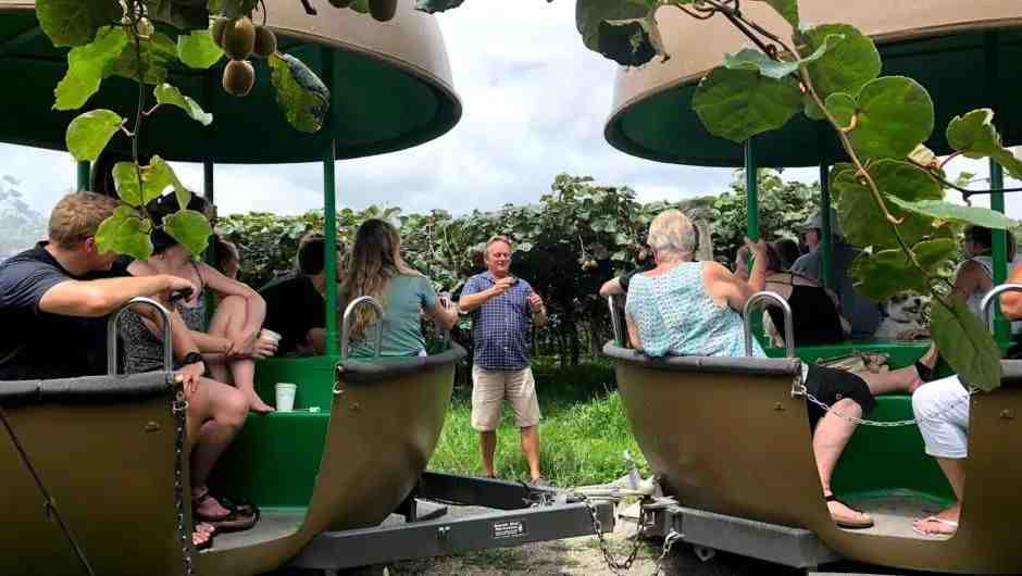 农旅融合，这个奇异果小镇有什么秘诀？