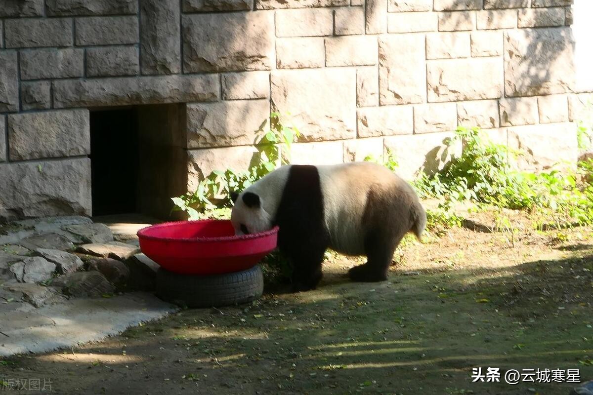 世界各地频繁创高温纪录,全球高温纪录被破三次一知半解