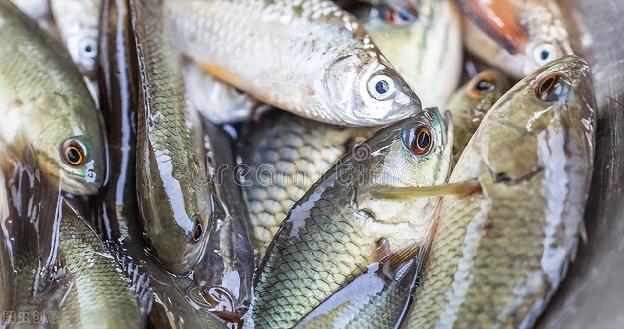夜钓守大鱼夜光漂,夜钓夜光漂调漂最佳方法