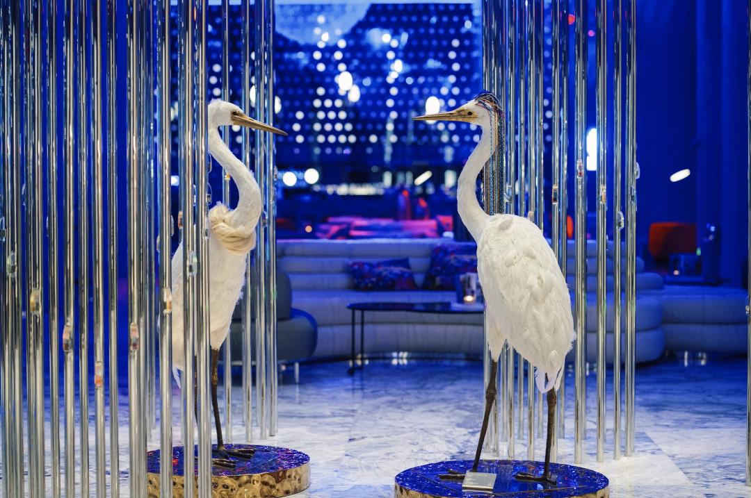 这世界是个巨大的游乐场,这世界就是巨大的游乐场