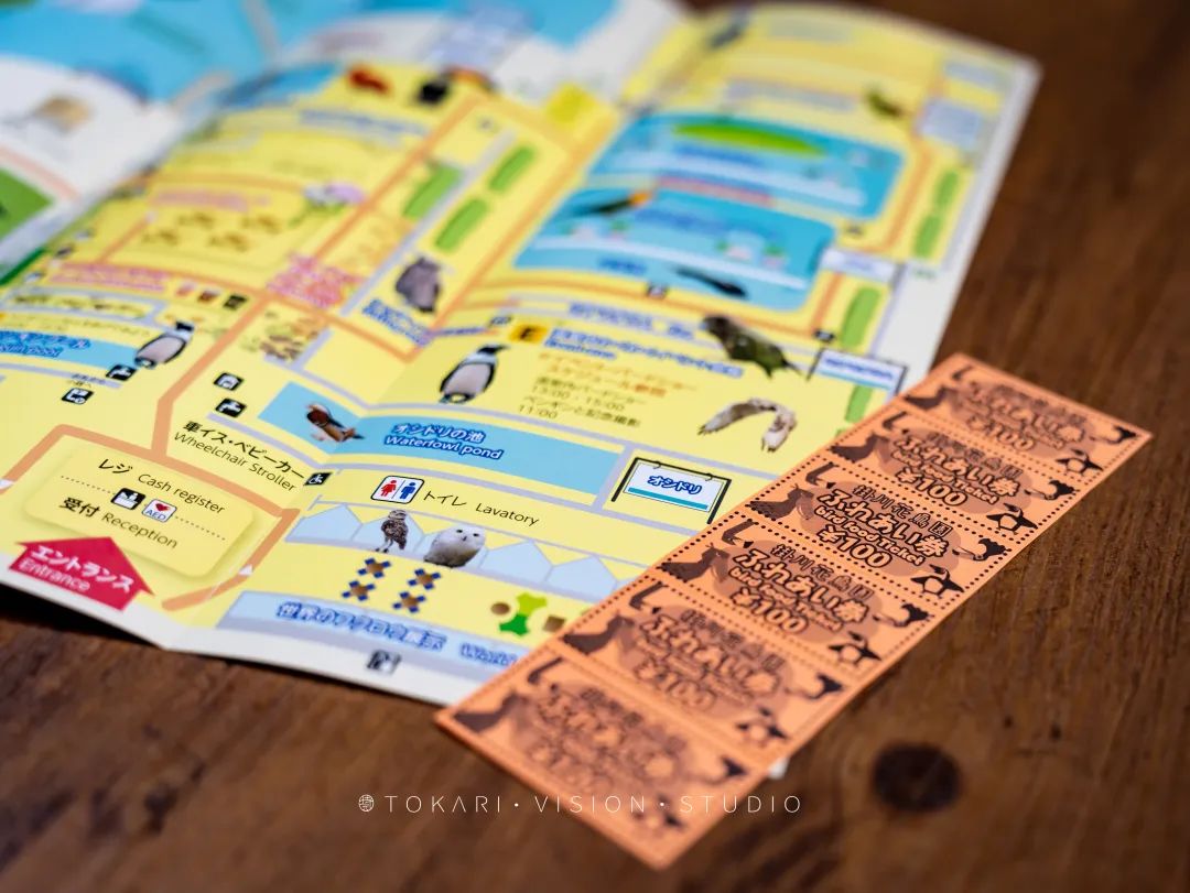 日本静冈市旅游,日本打卡景点小众静冈