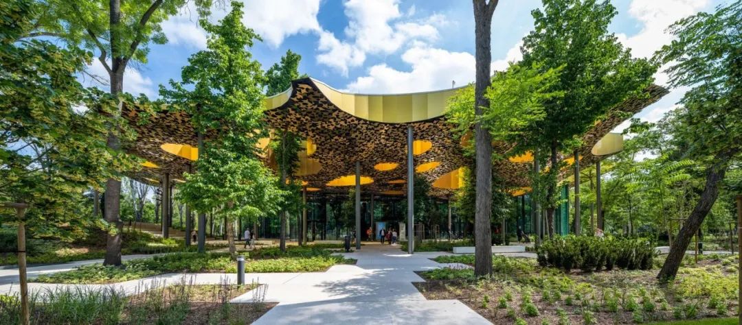 与藤本壮介一起走进金色叶子‘殿堂’，匈牙利音乐之家