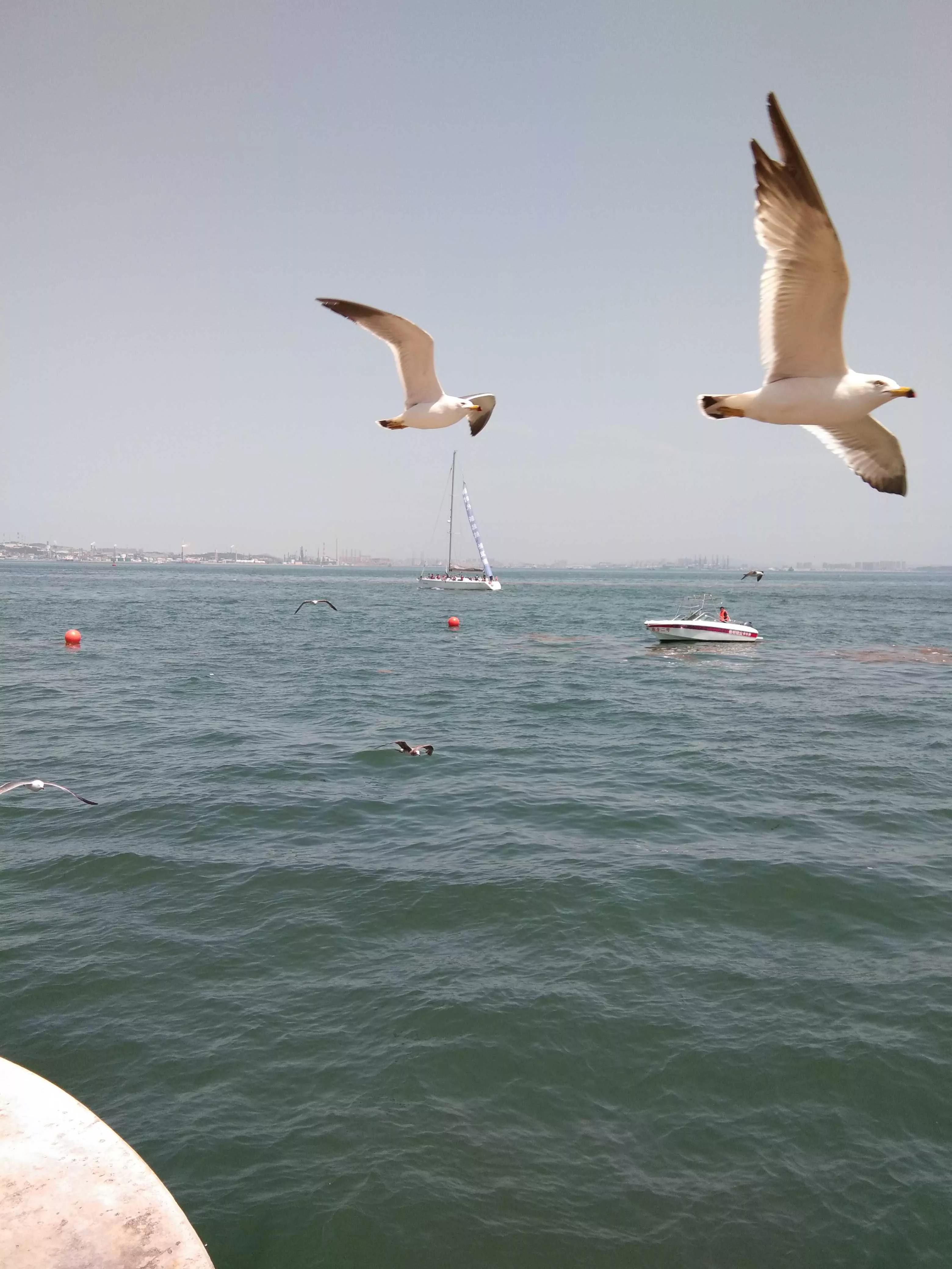 外地人大连旅游,在大连的外地人领失业金