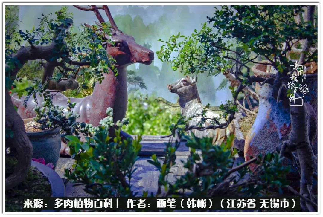 月满西楼别有一番滋味在心头,绿肥红瘦