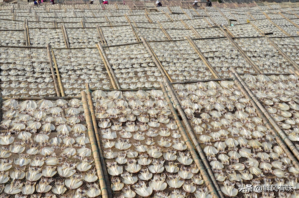 浙江舟山特色美食,浙江省舟山市十大好吃的特色美食