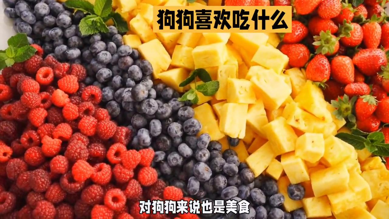 狗狗喜欢吃的一些美食,狗狗看到喜欢的食物