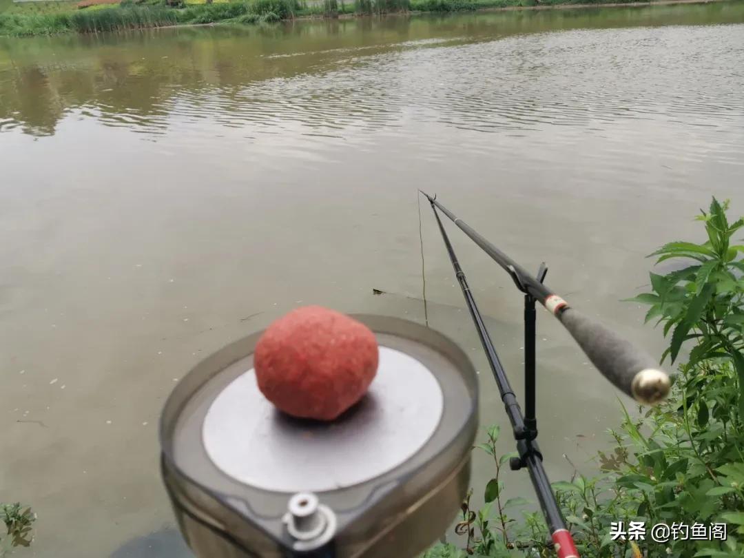 冬天野钓鱼不开口跟什么有影响,深秋野钓鱼不开口怎么办