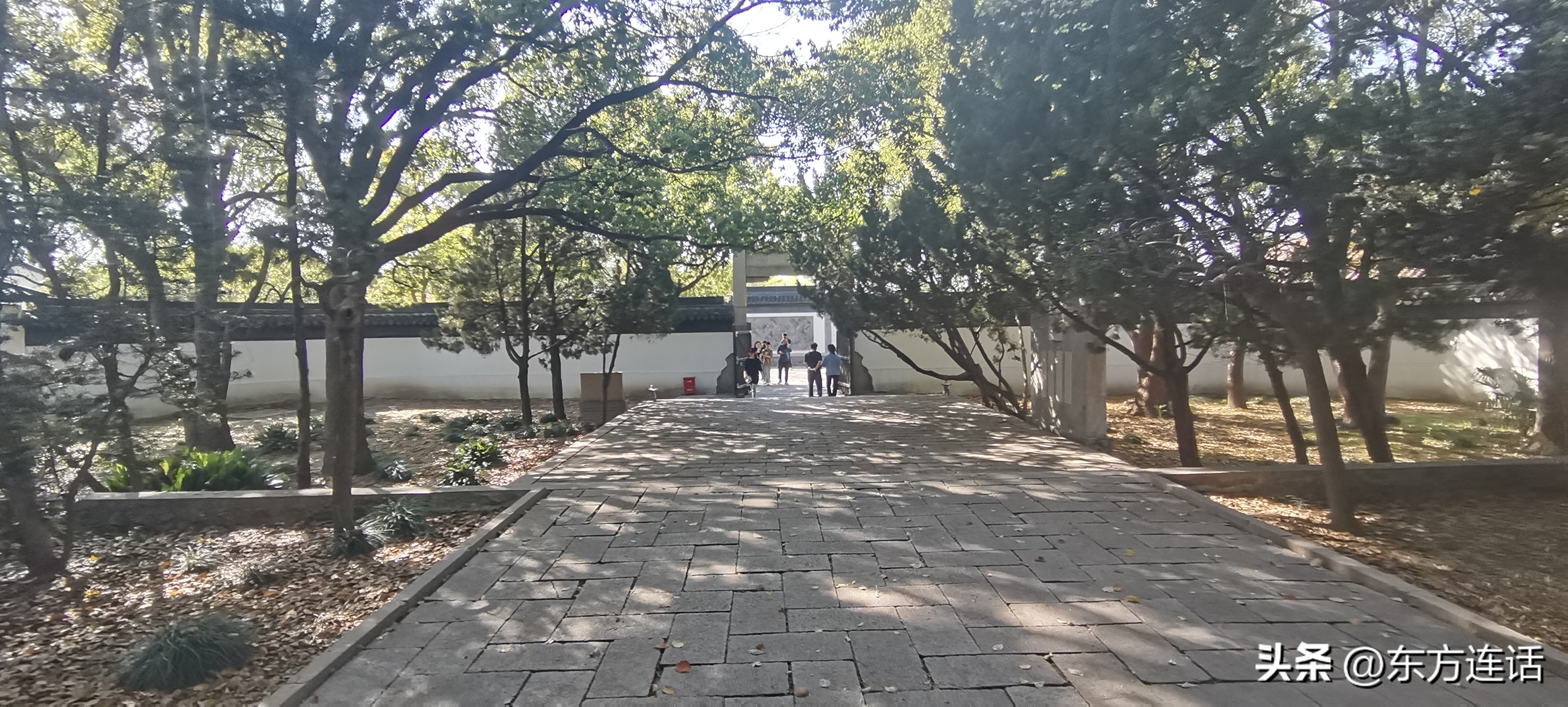 广富林遗址公园梅花盛开时节照片,上海广富林文化遗址门票预约