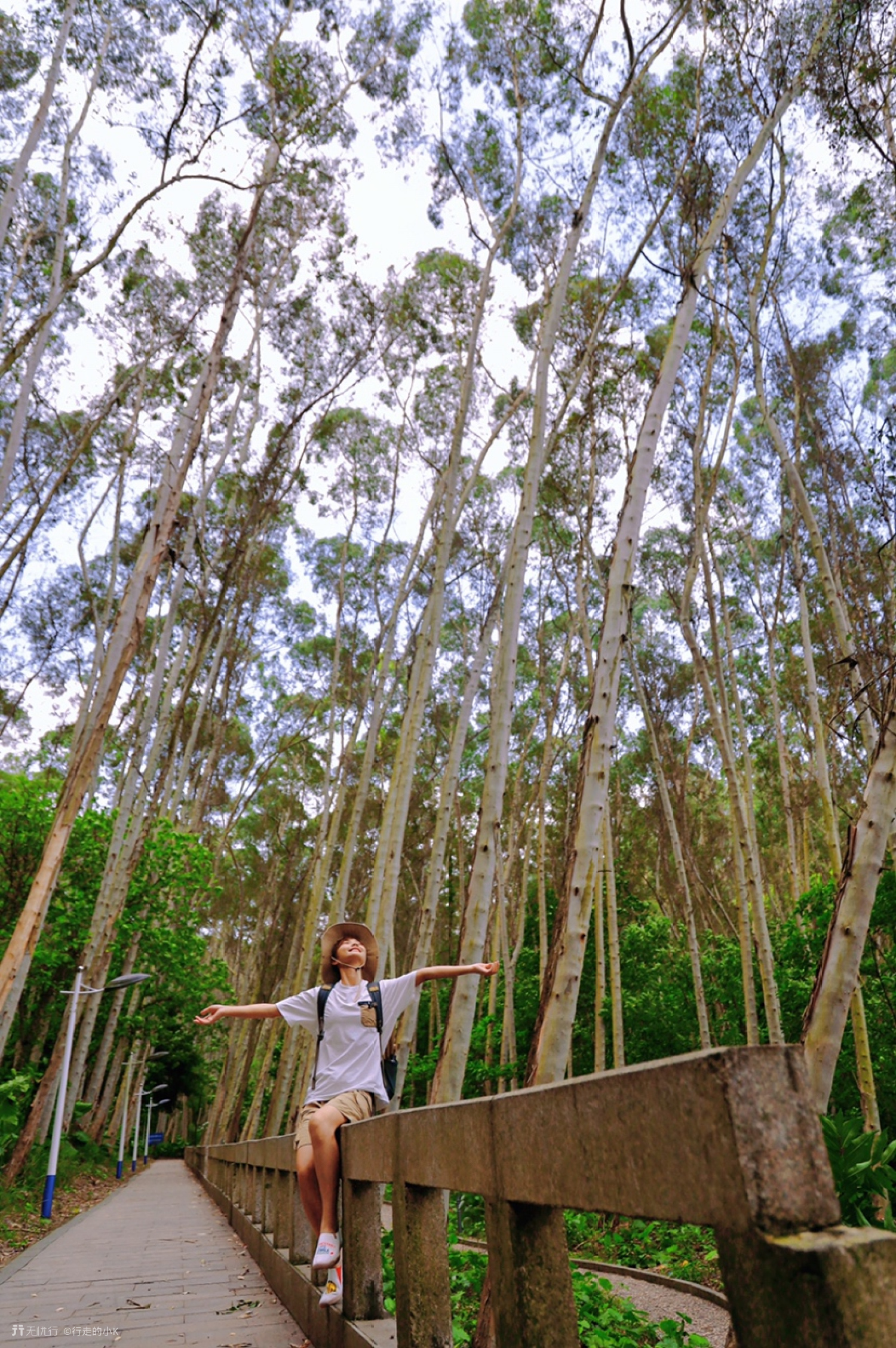 广州附近探险游玩地打卡,广州周边秋游游玩攻略