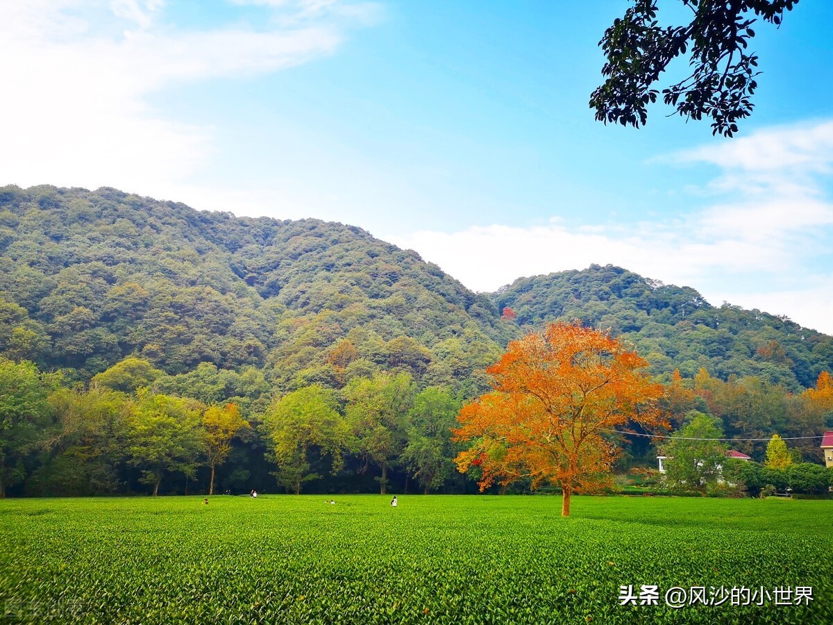 杭州2天一夜3大2小旅游攻略,杭州保姆级旅游攻略