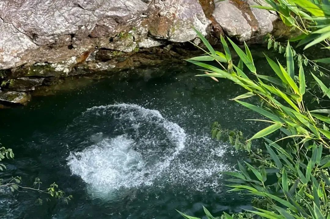 冬季天津户外徒步路线推荐,天津春天亲子徒步旅游路线推荐