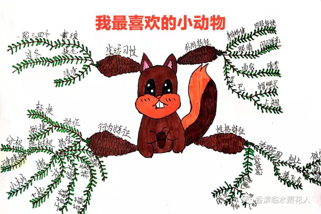 ​「五年级作文“我的心爱之物”」姜奕西《小猫》（二十四）