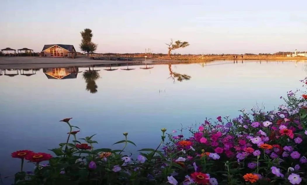 示范家庭农场申报推荐表填写,家庭农场财务网上申报怎么报