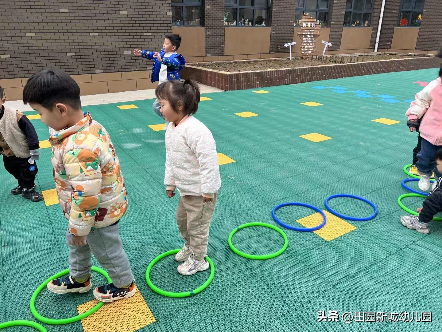 课程故事乌龟大班,嗨小鸭课程故事