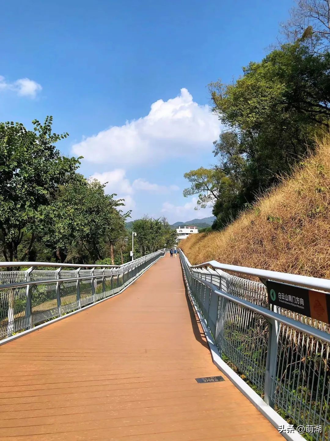 夏天去广州旅游攻略一天,广州旅游攻略一天一夜自由行