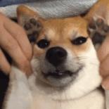 中国人下南洋如何白手起家,白手起家的人特征