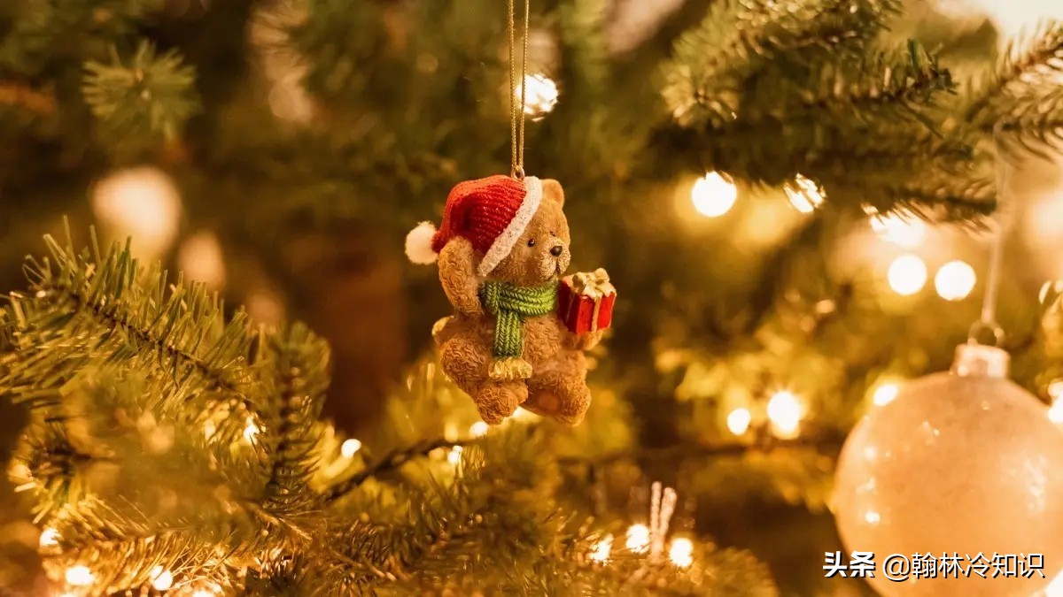 一年一度的圣诞节是什么,圣诞节是在哪一月哪一日