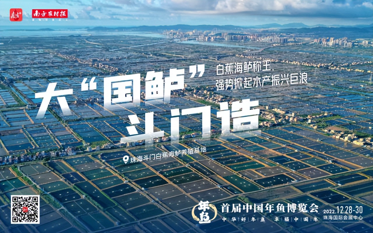 拼经济！珠海斗门这样拼：卖好一条鱼，带火一座城