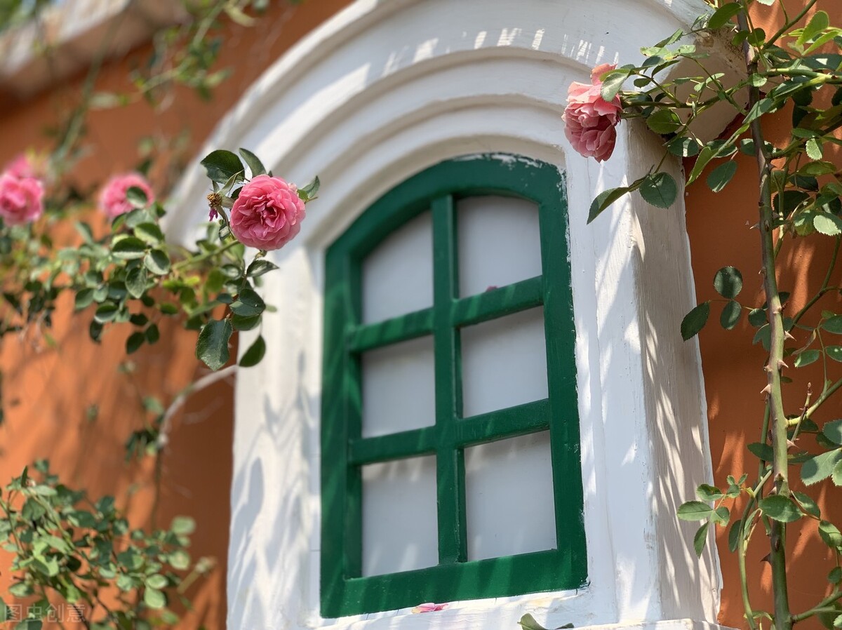 石油化工工程规划图,中国石油化工在建最大项目