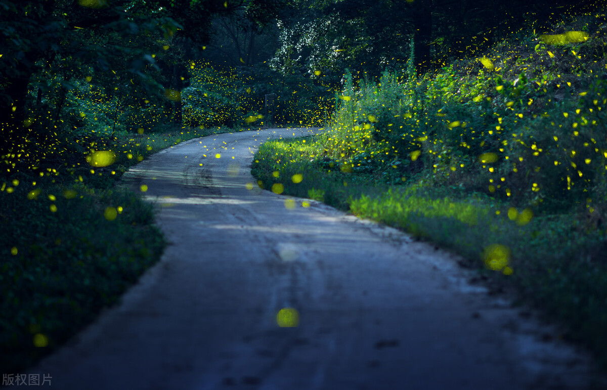 清都的原创诗词，4年作品合集，用文字记录生活