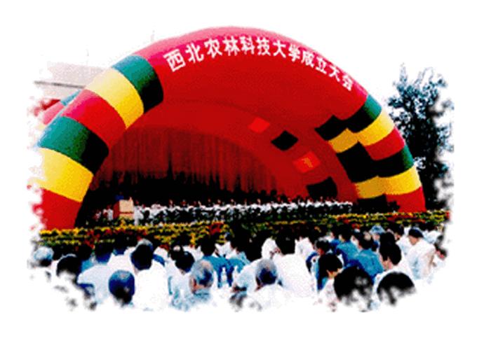 高校校园影像,高校美景照片视频