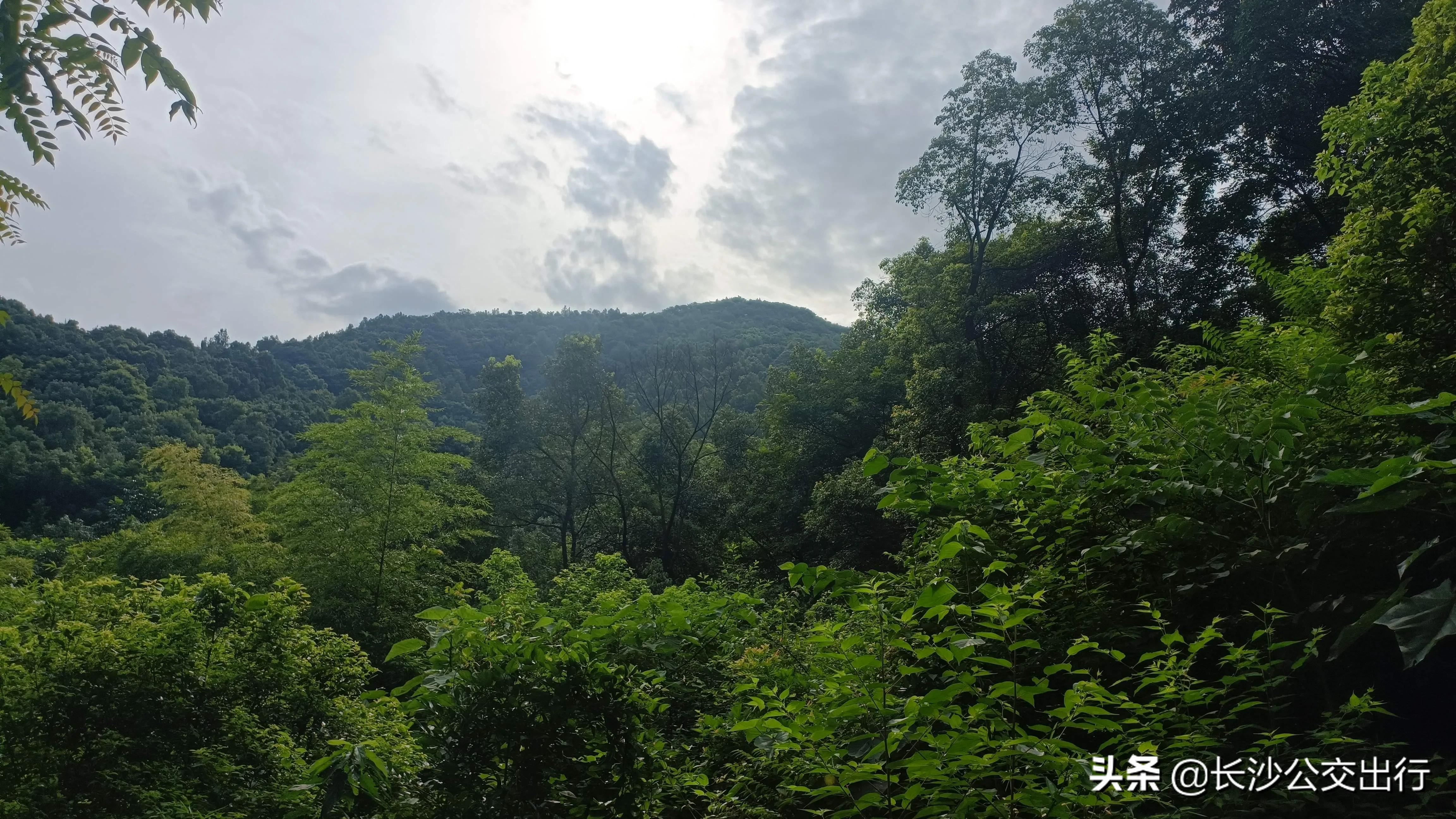 岳麓山从南门爬的攻略,岳麓山东门进南门出旅游攻略