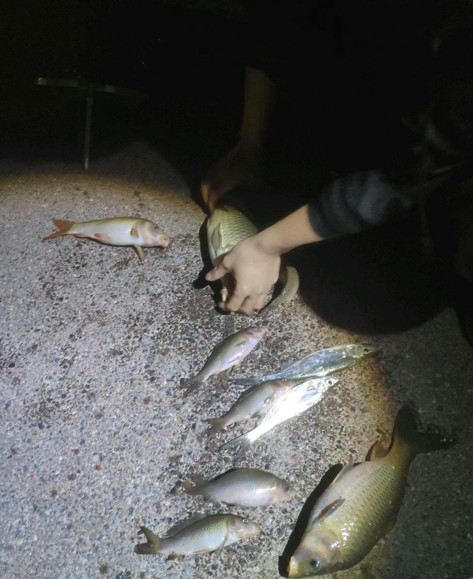 骞胯タ鐢峰瓙閽撲笂鎬奔,骞夸笢鐢峰瓙鍦ㄤ笢姹熼挀璧风綍瑙侀奔